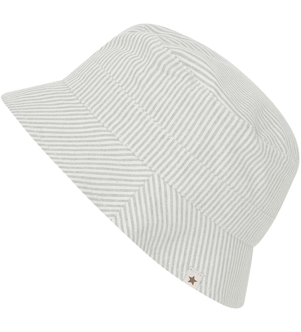 Sonnenhut Stripes desert sage