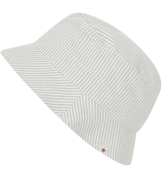 Sonnenhut Stripes desert sage