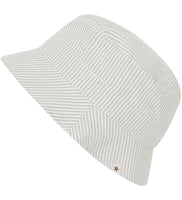 Sonnenhut Stripes desert sage