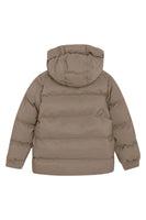 Winterjacke fungi
