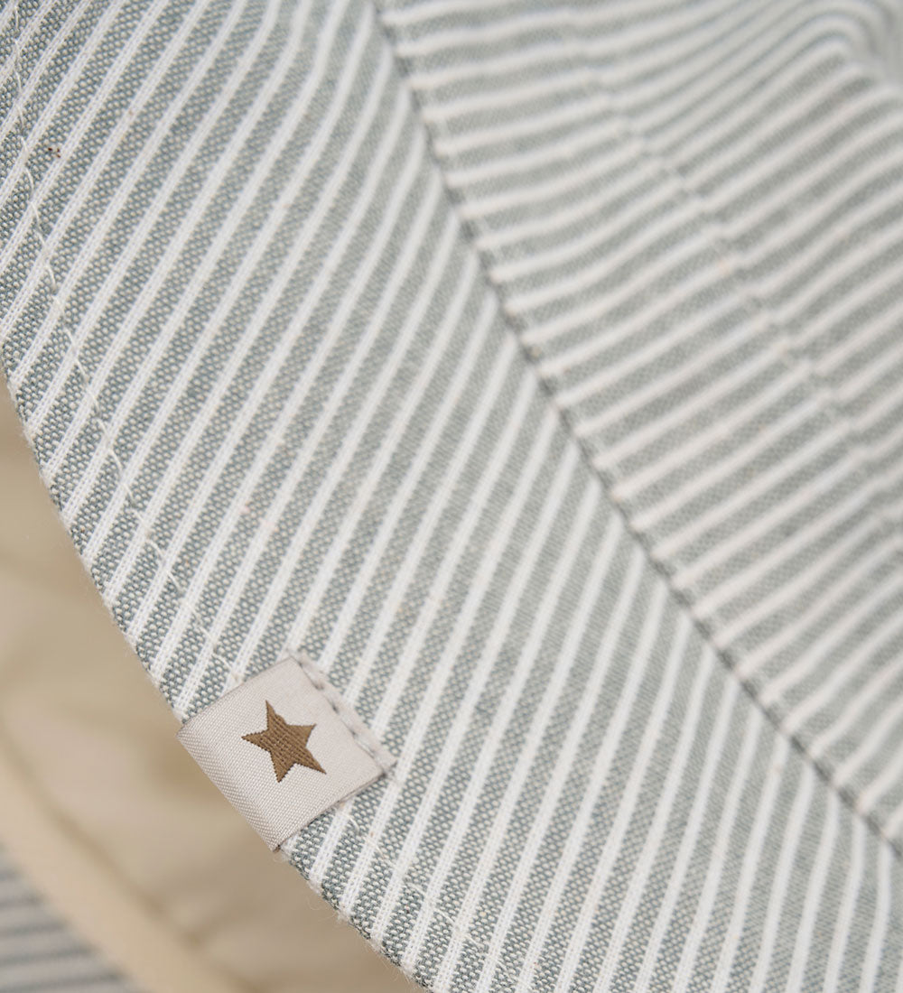 Sonnenhut Stripes desert sage
