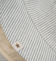 Sonnenhut Stripes desert sage