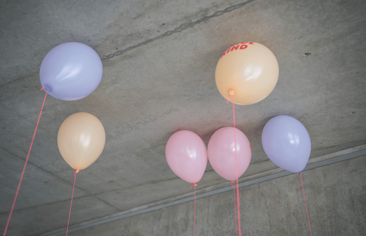 Schulkind Luftballon 6er Set | roas-Mix | 5 Stück: Kopfdruck