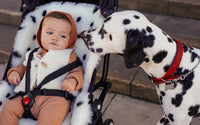 Kinderwagenauflage Snuggler Dalmatian