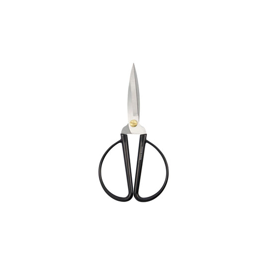 Schere Shears Schwarz/Silber