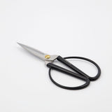 Schere Shears Schwarz/Silber