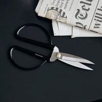 Schere Shears Schwarz/Silber